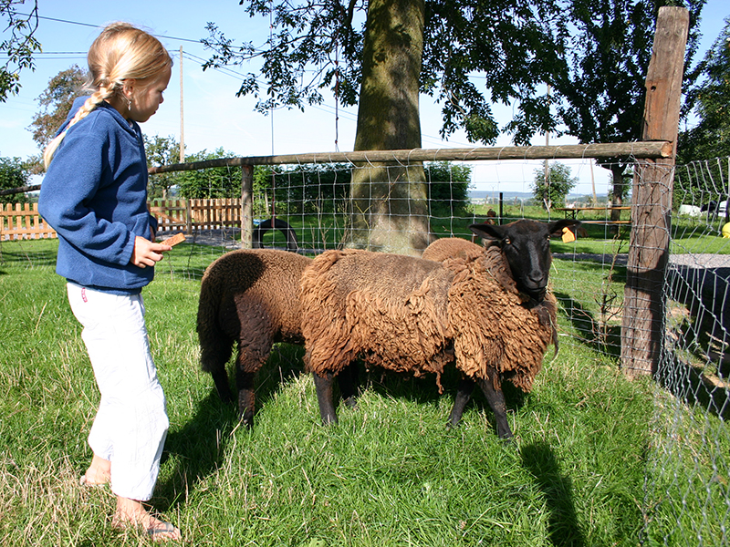Ferme de Neubemp